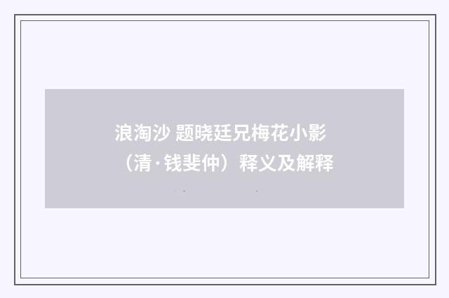 浪淘沙 题晓廷兄梅花小影（清·钱斐仲）释义及解释