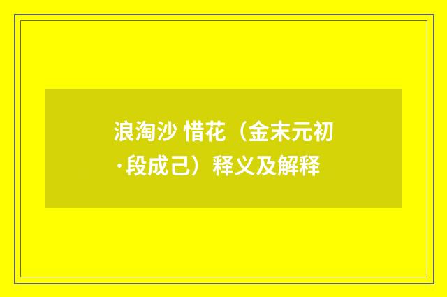 浪淘沙 惜花（金末元初·段成己）释义及解释
