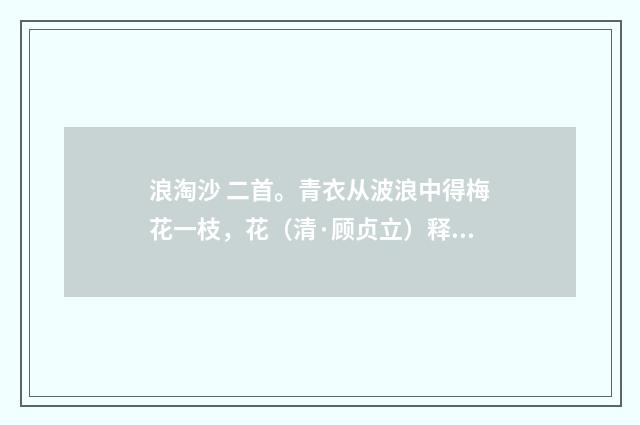 浪淘沙 二首。青衣从波浪中得梅花一枝，花（清·顾贞立）释义及解释