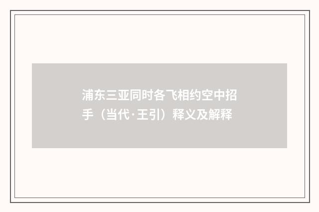 浦东三亚同时各飞相约空中招手（当代·王引）释义及解释