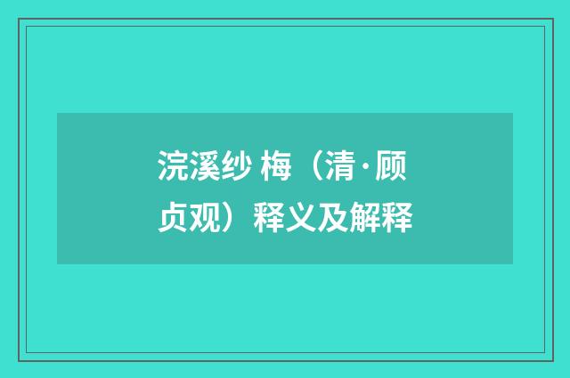 浣溪纱 梅（清·顾贞观）释义及解释
