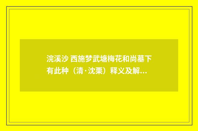 浣溪沙 西施梦武塘梅花和尚墓下有此种（清·沈栗）释义及解释