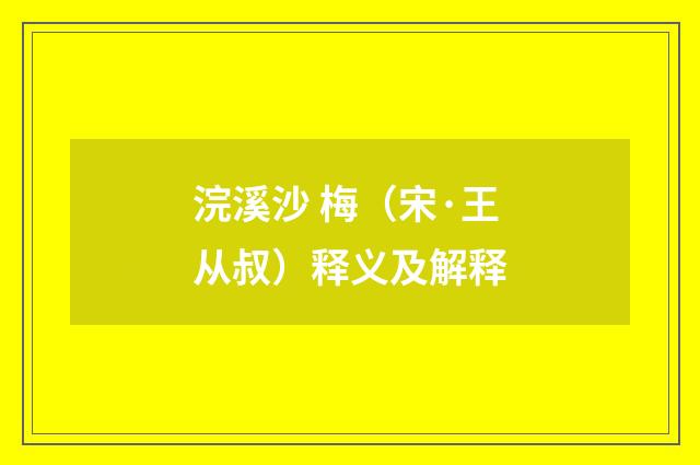 浣溪沙 梅（宋·王从叔）释义及解释