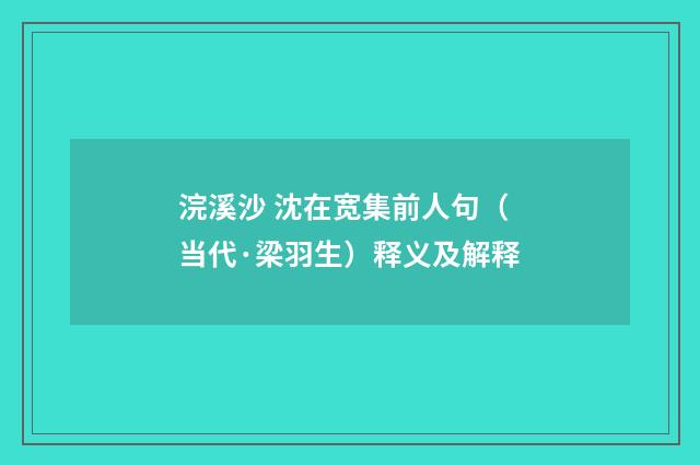 浣溪沙 沈在宽集前人句（当代·梁羽生）释义及解释