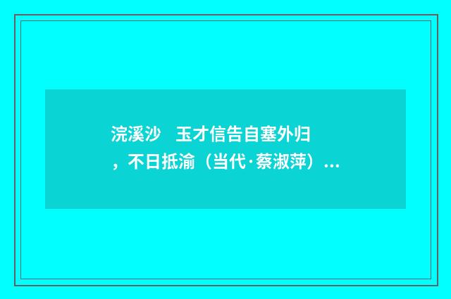 浣溪沙 玉才信告自塞外归，不日抵渝（当代·蔡淑萍）释义及解释