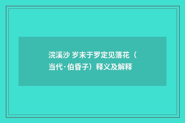 浣溪沙 岁末于罗定见落花（当代·伯昏子）释义及解释