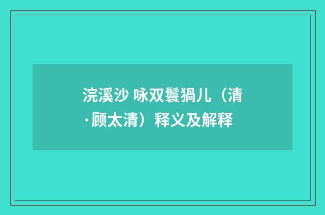 浣溪沙 咏双鬟猧儿（清·顾太清）释义及解释