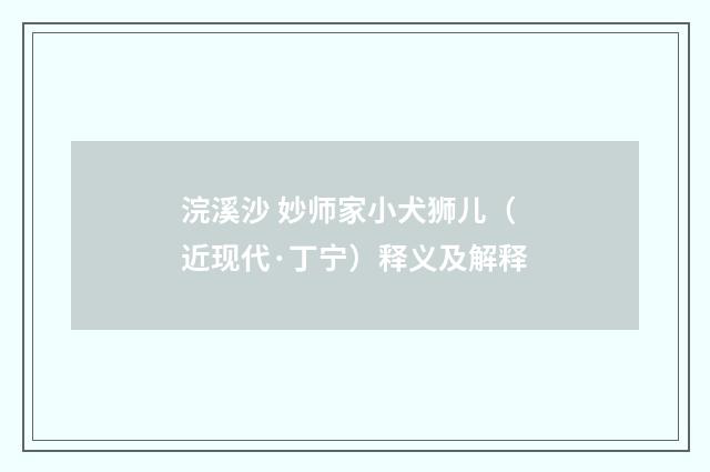浣溪沙 妙师家小犬狮儿（近现代·丁宁）释义及解释