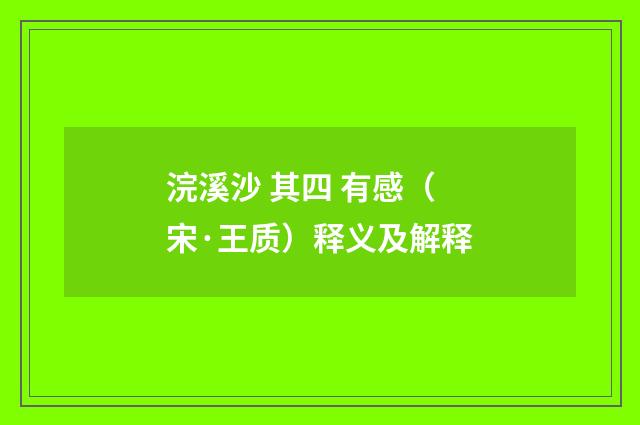 浣溪沙 其四 有感（宋·王质）释义及解释