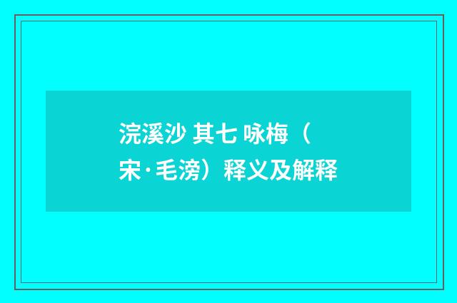 浣溪沙 其七 咏梅（宋·毛滂）释义及解释