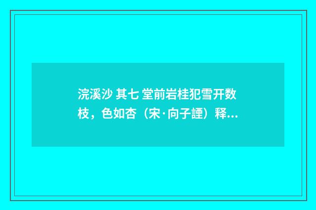 浣溪沙 其七 堂前岩桂犯雪开数枝，色如杏（宋·向子諲）释义及解释