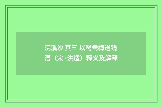 浣溪沙 其三 以鸳鸯梅送钱漕（宋·洪适）释义及解释