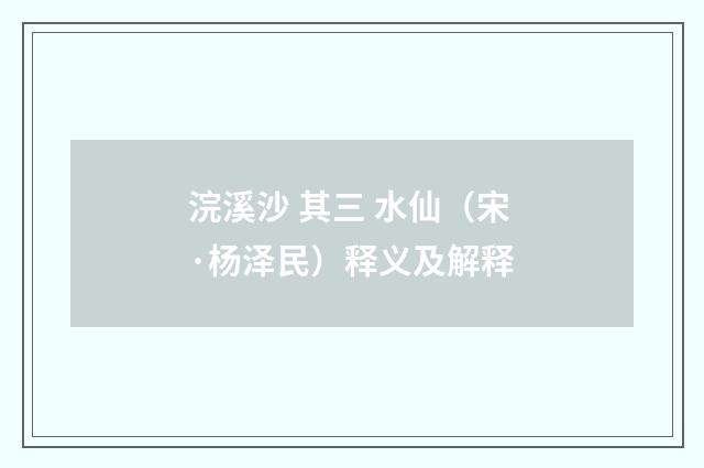 浣溪沙 其三 水仙（宋·杨泽民）释义及解释