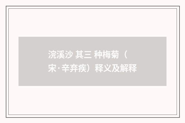 浣溪沙 其三 种梅菊（宋·辛弃疾）释义及解释
