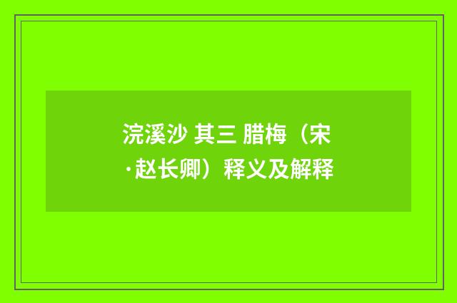 浣溪沙 其三 腊梅（宋·赵长卿）释义及解释