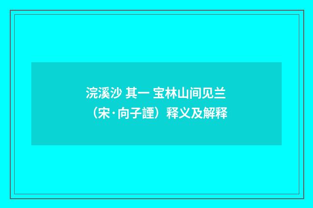 浣溪沙 其一 宝林山间见兰（宋·向子諲）释义及解释