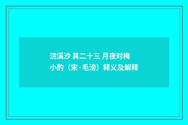 浣溪沙 其二十三 月夜对梅小酌（宋·毛滂）释义及解释