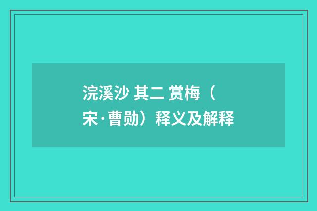 浣溪沙 其二 赏梅（宋·曹勋）释义及解释