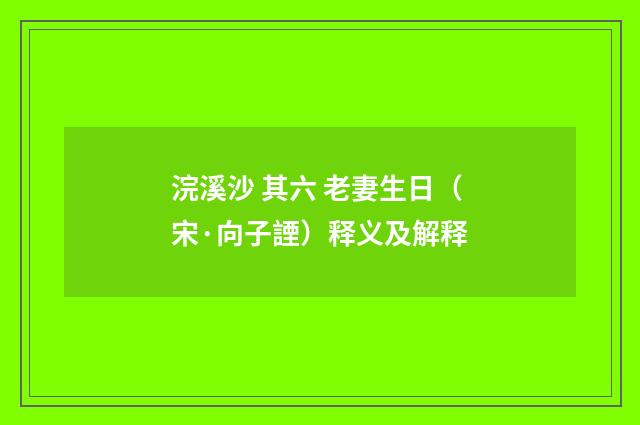 浣溪沙 其六 老妻生日（宋·向子諲）释义及解释