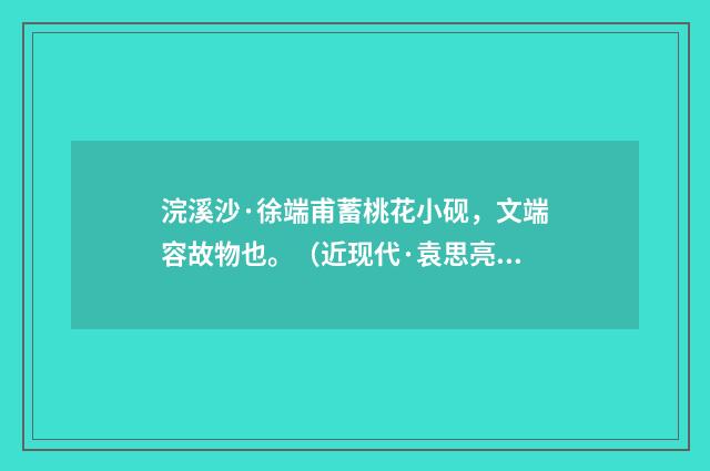 浣溪沙·徐端甫蓄桃花小砚，文端容故物也。（近现代·袁思亮）释义及解释