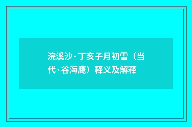 浣溪沙·丁亥子月初雪（当代·谷海鹰）释义及解释