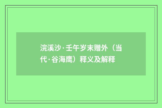 浣溪沙·壬午岁末赠外（当代·谷海鹰）释义及解释