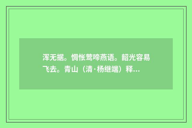 浑无据。惆怅莺啼燕语。韶光容易飞去。青山（清·杨继端）释义及解释