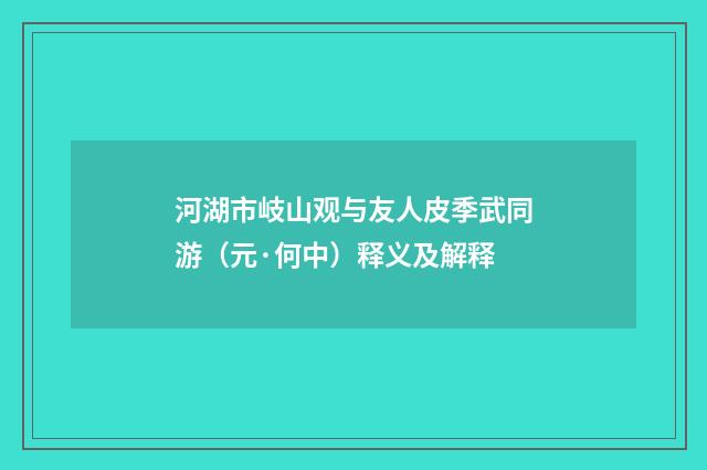 河湖市岐山观与友人皮季武同游（元·何中）释义及解释