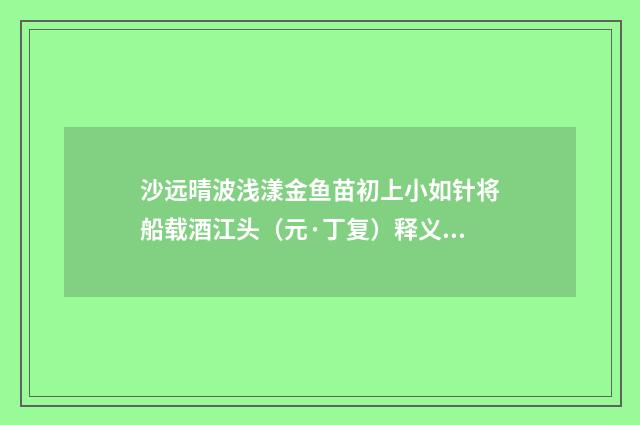 沙远晴波浅漾金鱼苗初上小如针将船载酒江头（元·丁复）释义及解释