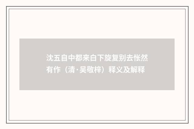 沈五自中都来白下旋复别去怅然有作（清·吴敬梓）释义及解释