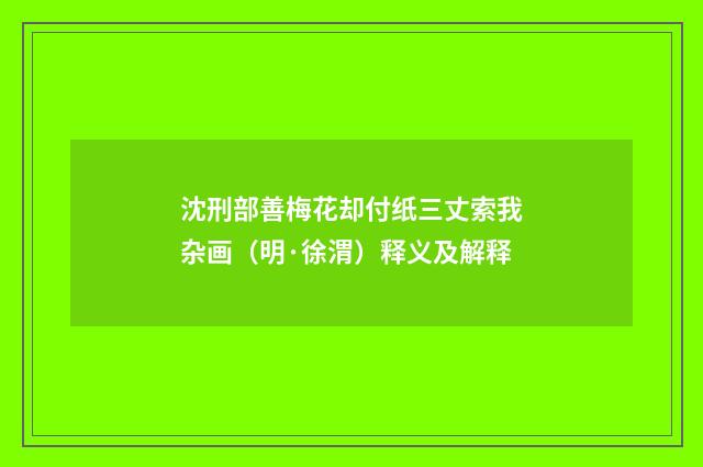 沈刑部善梅花却付纸三丈索我杂画（明·徐渭）释义及解释