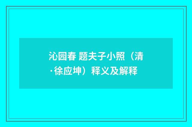 沁园春 题夫子小照（清·徐应坤）释义及解释