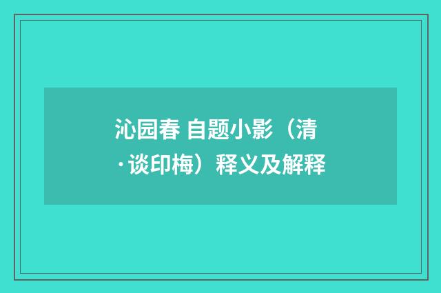 沁园春 自题小影（清·谈印梅）释义及解释
