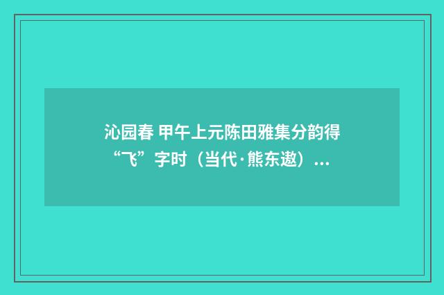 沁园春 甲午上元陈田雅集分韵得“飞”字时（当代·熊东遨）释义及解释
