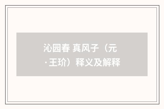 沁园春 真风子（元·王玠）释义及解释