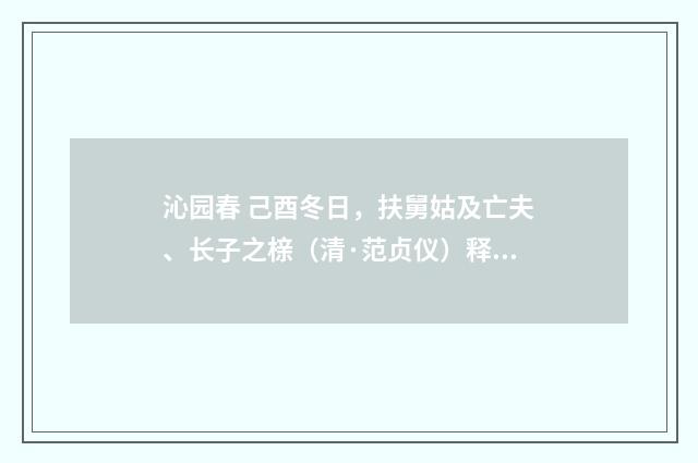沁园春 己酉冬日，扶舅姑及亡夫、长子之榇（清·范贞仪）释义及解释