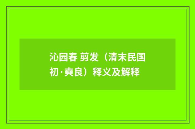 沁园春 剪发（清末民国初·奭良）释义及解释