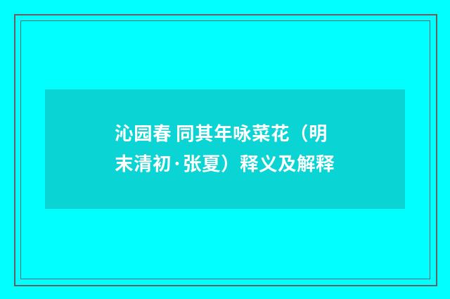 沁园春 同其年咏菜花（明末清初·张夏）释义及解释