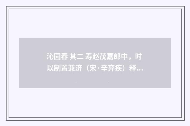 沁园春 其二 寿赵茂嘉郎中，时以制置兼济（宋·辛弃疾）释义及解释