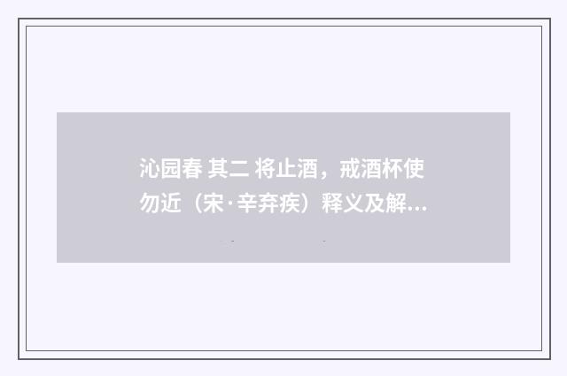 沁园春 其二 将止酒，戒酒杯使勿近（宋·辛弃疾）释义及解释