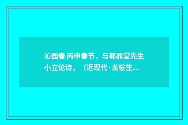 沁园春 丙申春节，与郭鼎堂先生小立论诗，（近现代·龙榆生）释义及解释