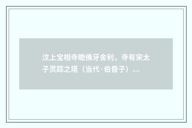 汶上宝相寺瞻佛牙舍利，寺有宋太子灵踪之塔（当代·伯昏子）释义及解释