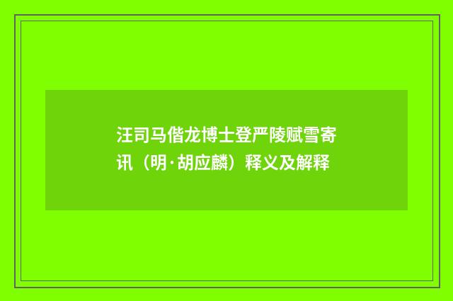 汪司马偕龙博士登严陵赋雪寄讯（明·胡应麟）释义及解释