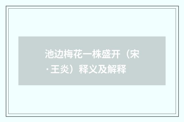 池边梅花一株盛开（宋·王炎）释义及解释