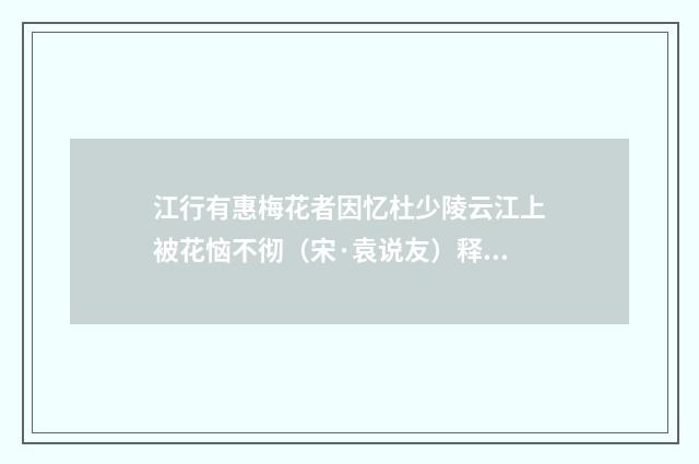 江行有惠梅花者因忆杜少陵云江上被花恼不彻（宋·袁说友）释义及解释
