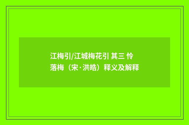 江梅引/江城梅花引 其三 怜落梅（宋·洪皓）释义及解释