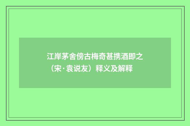 江岸茅舍傍古梅奇甚携酒即之（宋·袁说友）释义及解释