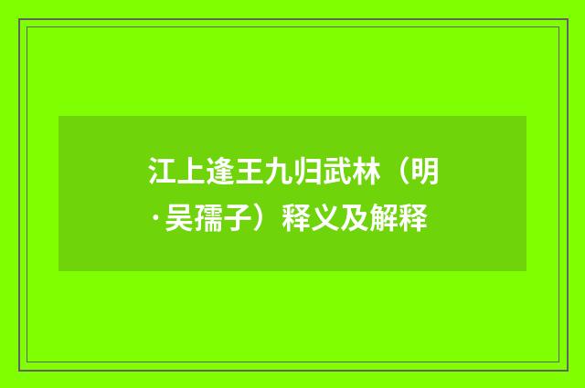 江上逢王九归武林（明·吴孺子）释义及解释