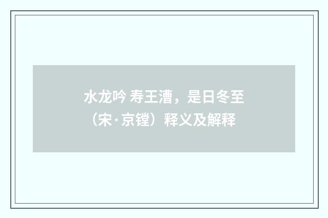 水龙吟 寿王漕，是日冬至（宋·京镗）释义及解释