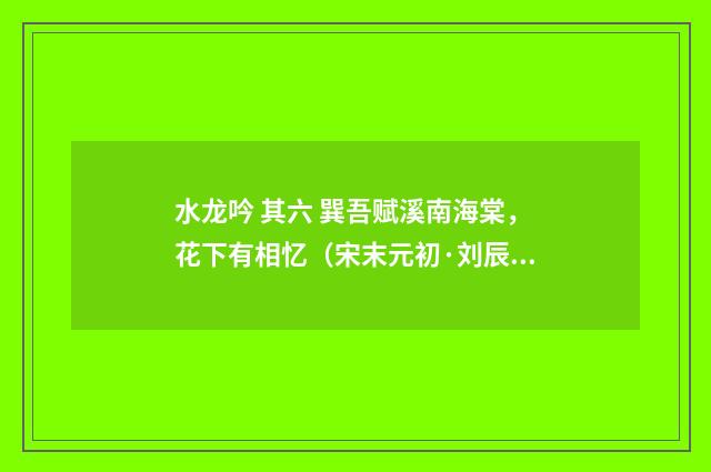 水龙吟 其六 巽吾赋溪南海棠，花下有相忆（宋末元初·刘辰翁）释义及解释